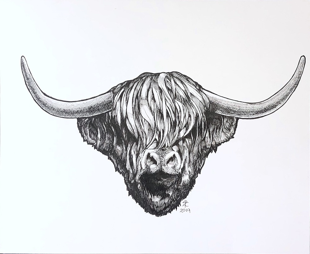 Untitled - Highland Cattle by Troy Tagliarino | ArtworkNetwork.com